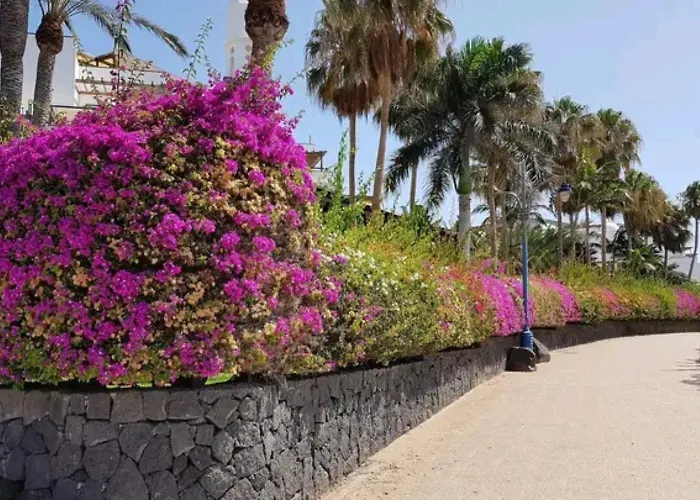 شقة Nueva Esperanza El Cano In Sea *